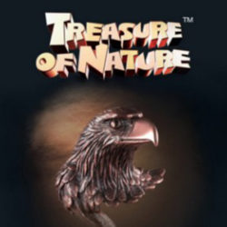 treasure of nature